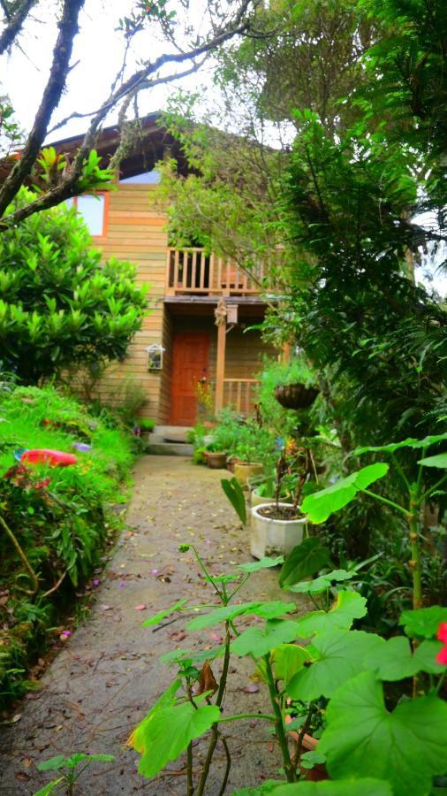 Beehouse Arvi Cabana Guarne Buitenkant foto