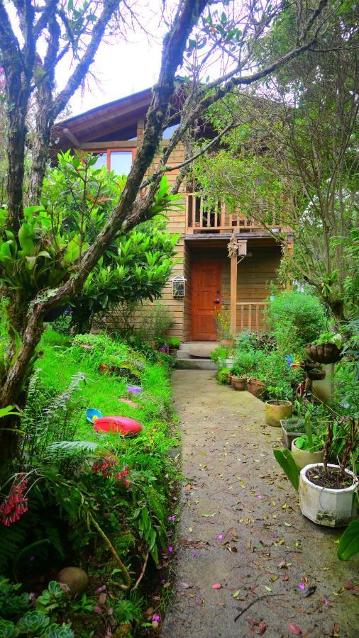 Beehouse Arvi Cabana Guarne Buitenkant foto