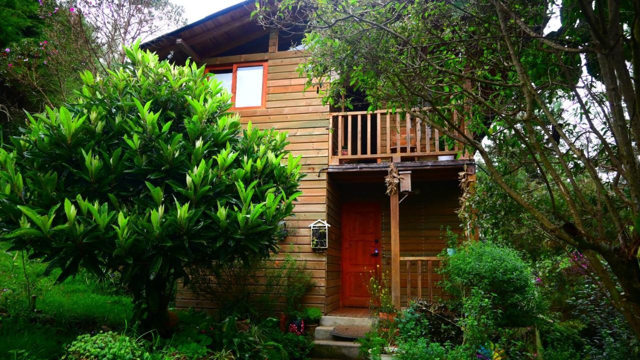 Beehouse Arvi Cabana Guarne Buitenkant foto