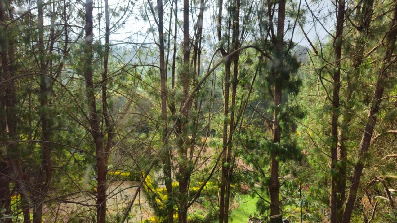 Beehouse Arvi Cabana Guarne Buitenkant foto