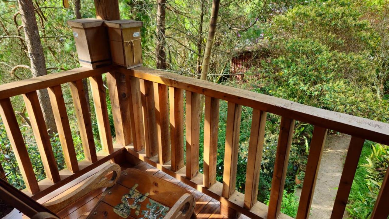 Beehouse Arvi Cabana Guarne Buitenkant foto