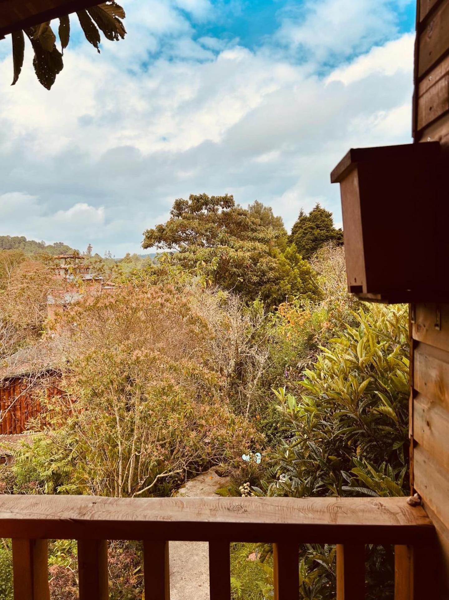 Beehouse Arvi Cabana Guarne Buitenkant foto